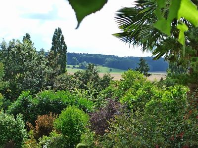 jardin d’arbustes et de plantes vivaces