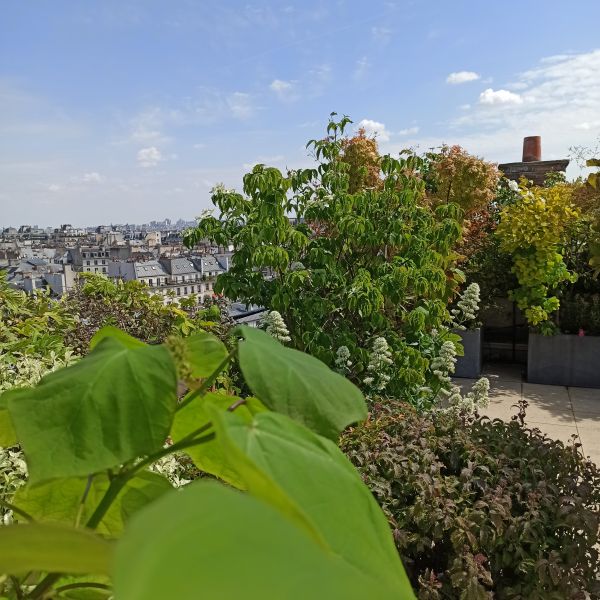 concept et décor de terrasse Paris 7em 