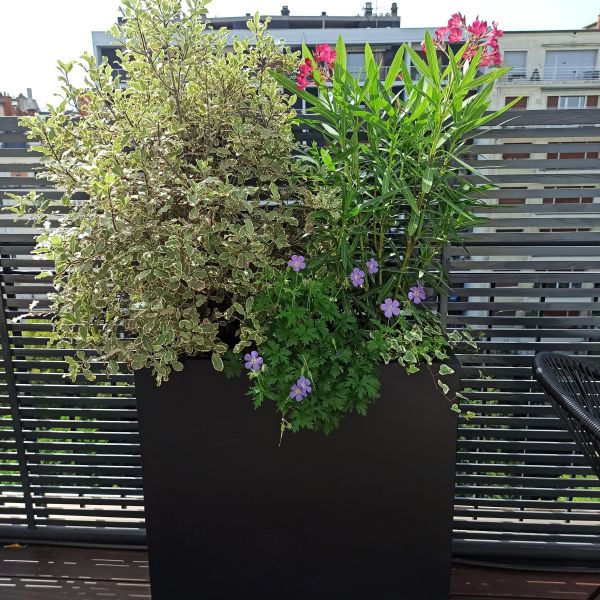 balcon aménagée et végétalisé à Paris