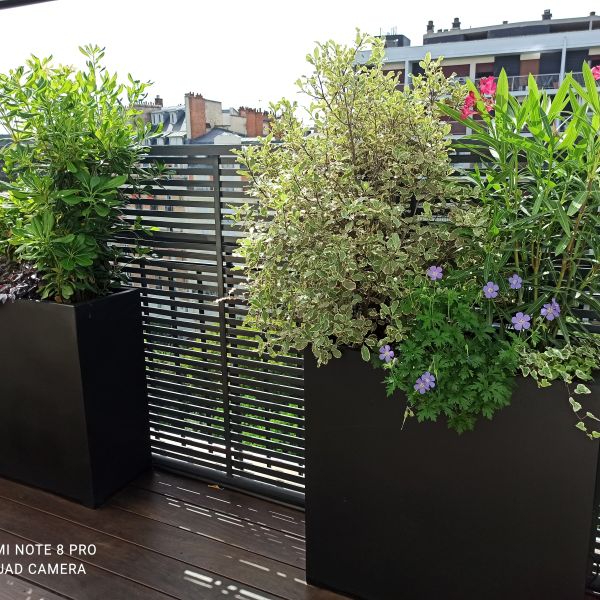 balcon aménagée et végétalisé à Paris